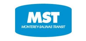 MST (test) logo